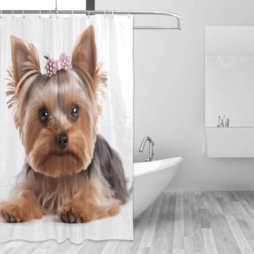 Brown Black Dog Shower Curtain Set with 12 Hooks 72x72in 1