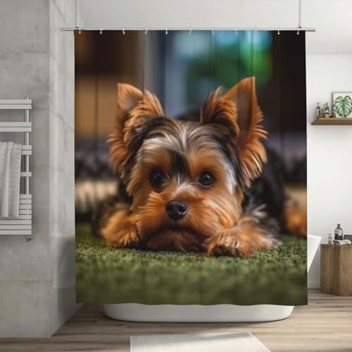 Brown Black Dog Shower Curtain Set with 12 Hooks 72x72in
