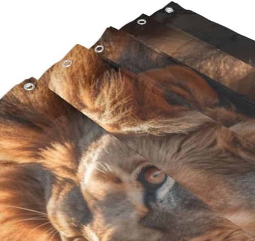 Brown Lion Shower Curtain Set with 12 Hooks 72x72in 1