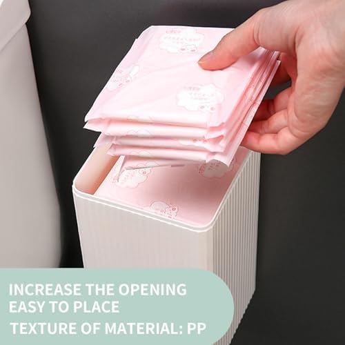 Wall Mounted Storage Box for Sanitary Pads and Toiletries
