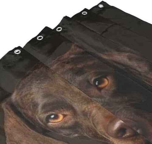 Black Dog Shower Curtain Set with 12 Hooks 72x72in