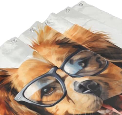 Brown Dog Shower Curtain Set with 12 Hooks 72x72in