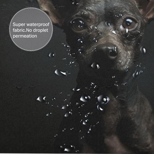 TIYAANDSY Black Dog Shower Curtain Set 72x72in