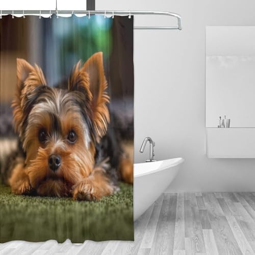 Brown Black Dog Shower Curtain Set with 12 Hooks 72x72in