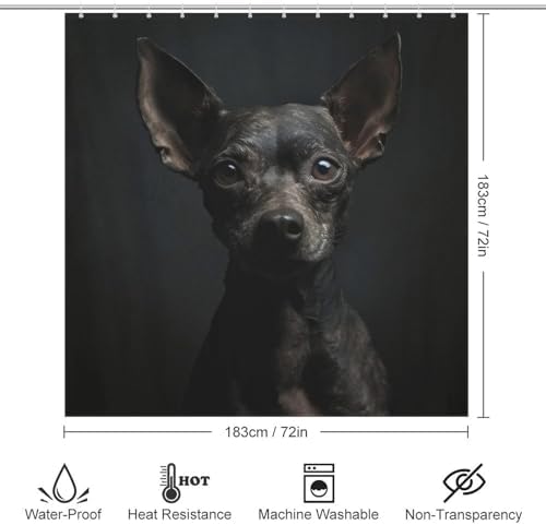 TIYAANDSY Black Dog Shower Curtain Set 72x72in