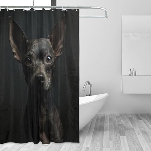 TIYAANDSY Black Dog Shower Curtain Set 72x72in
