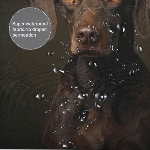 Black Dog Shower Curtain Set with 12 Hooks 72x72in