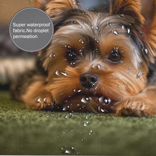 Brown Black Dog Shower Curtain Set with 12 Hooks 72x72in