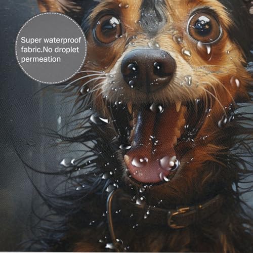 TIYAANDSY Smile Dog Shower Curtain Set 72x72in Waterproof