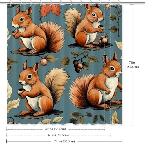 Cute Squirrel Shower Curtain Set with 12 Hooks