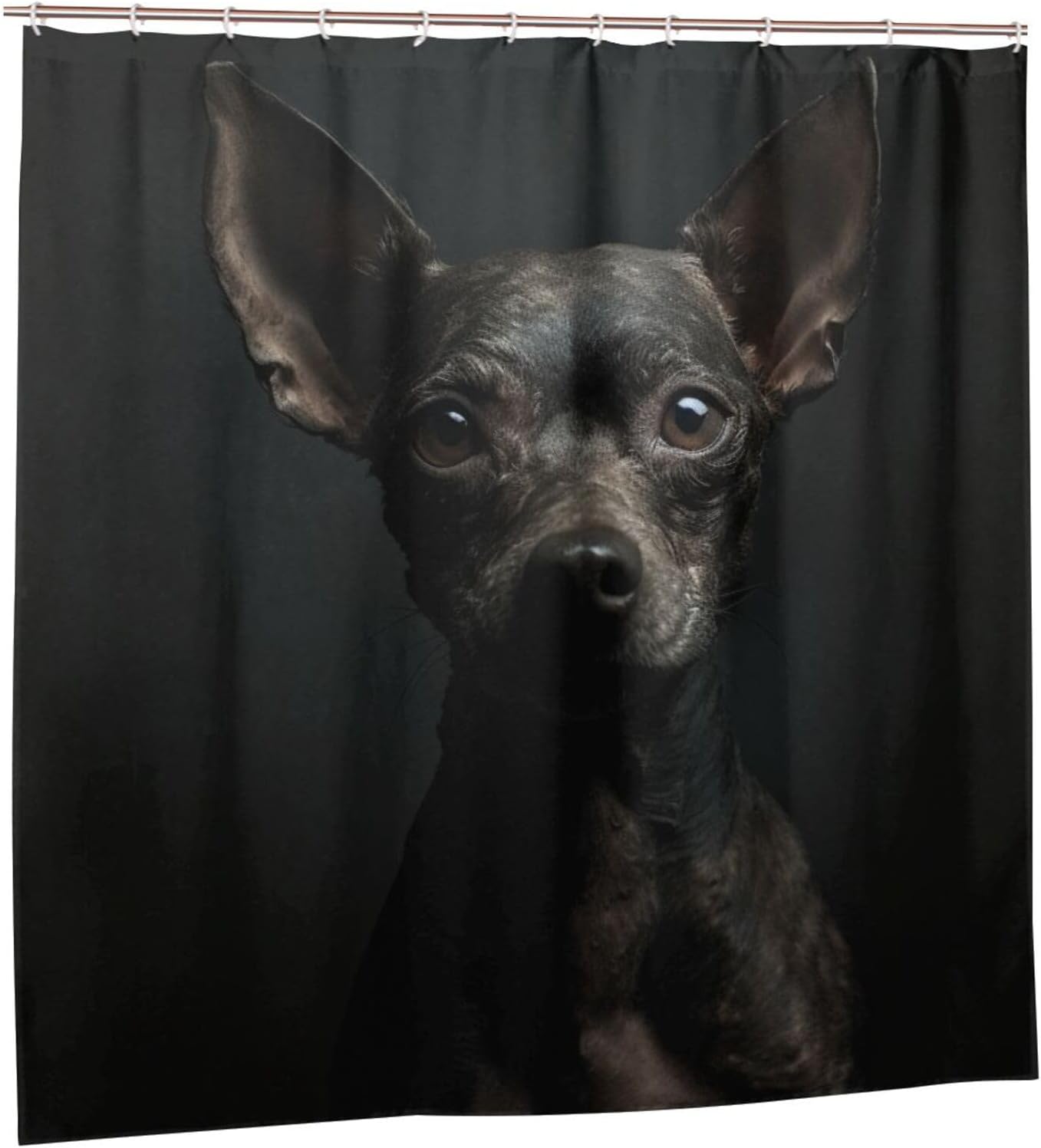 TIYAANDSY Black Dog Shower Curtain Set 72x72in