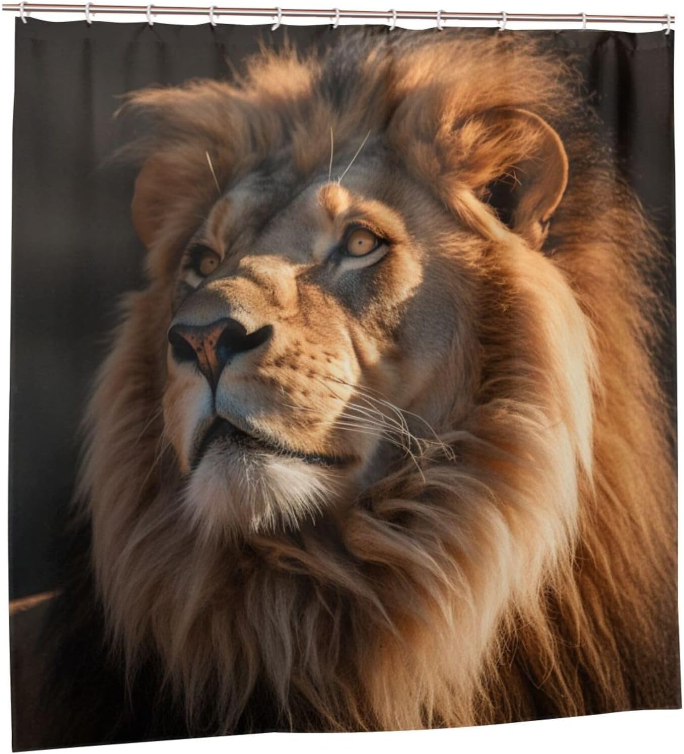 Brown Lion Waterproof Shower Curtain Set with 12 Hooks 72x72in