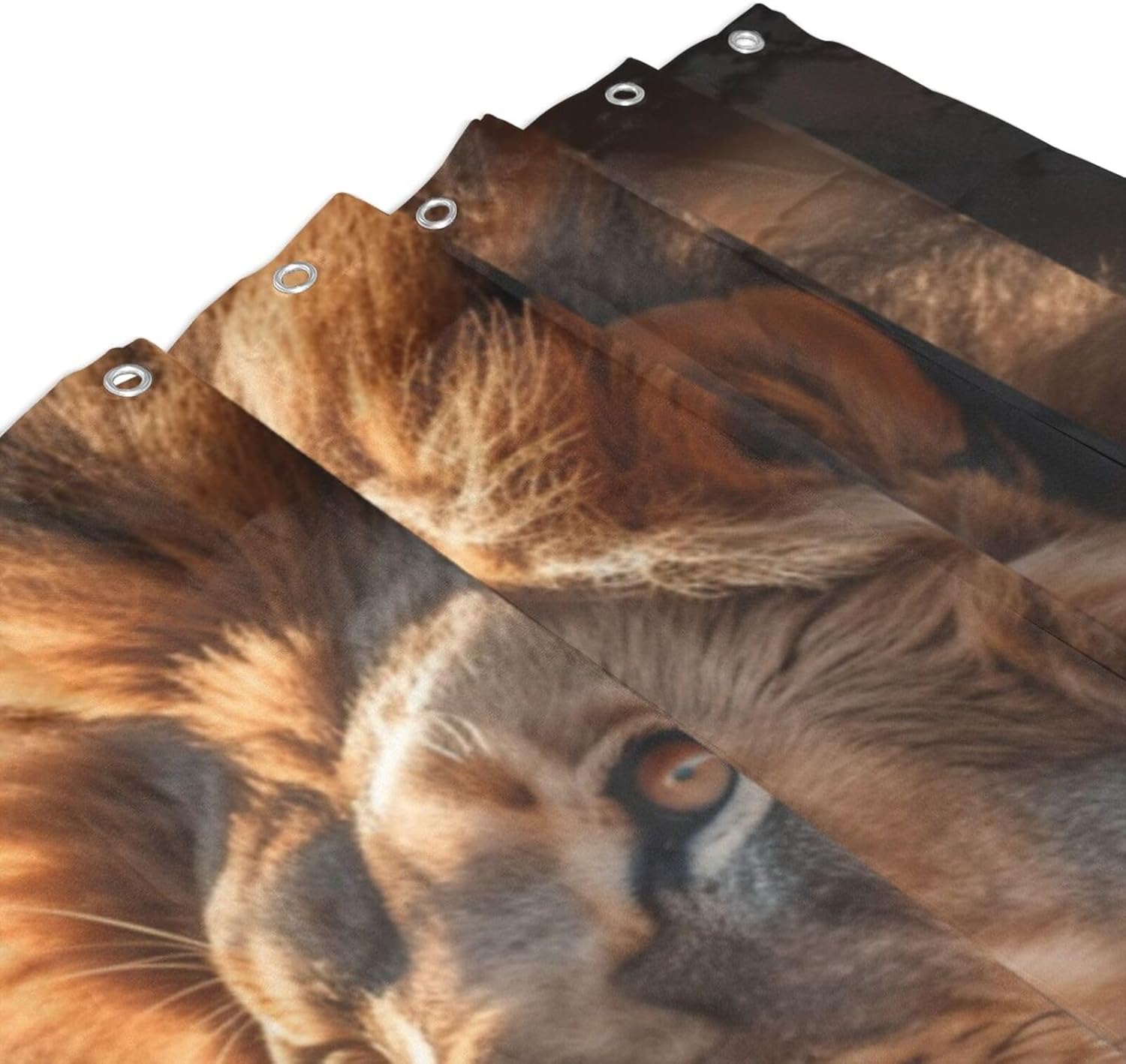 Brown Lion Shower Curtain Set with 12 Hooks 72x72in 1