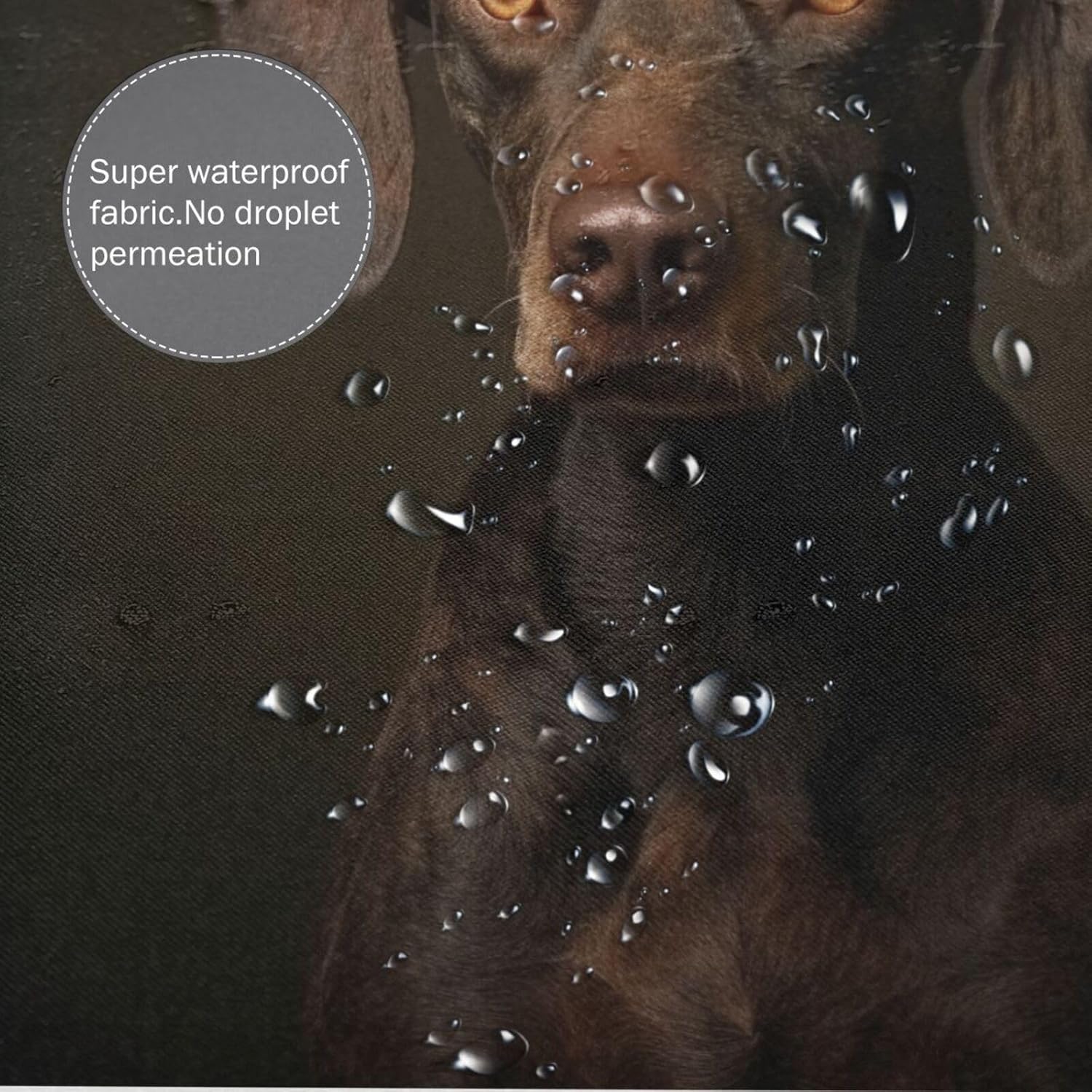 Black Dog Shower Curtain Set with 12 Hooks 72x72in