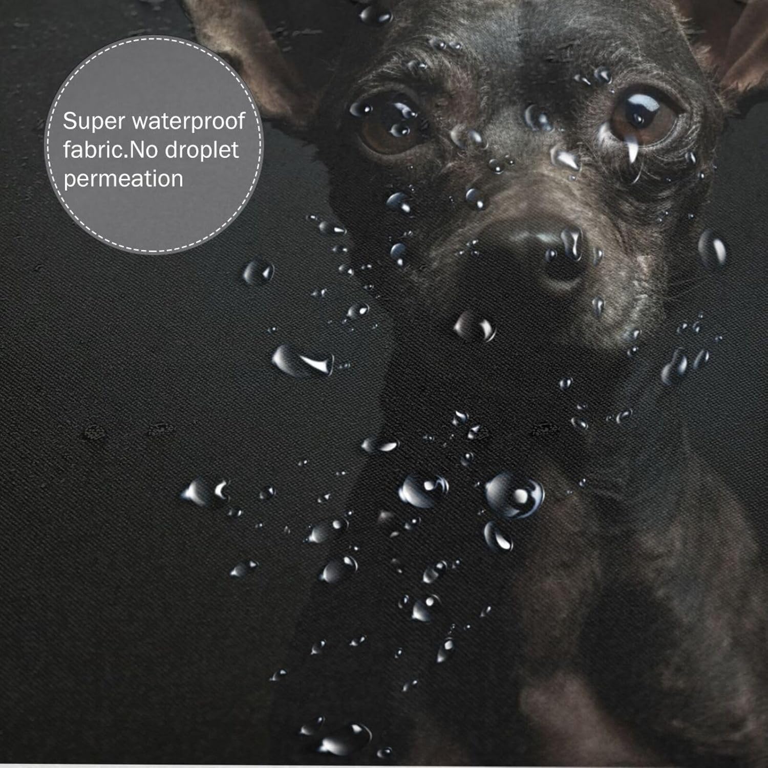 TIYAANDSY Black Dog Shower Curtain Set 72x72in