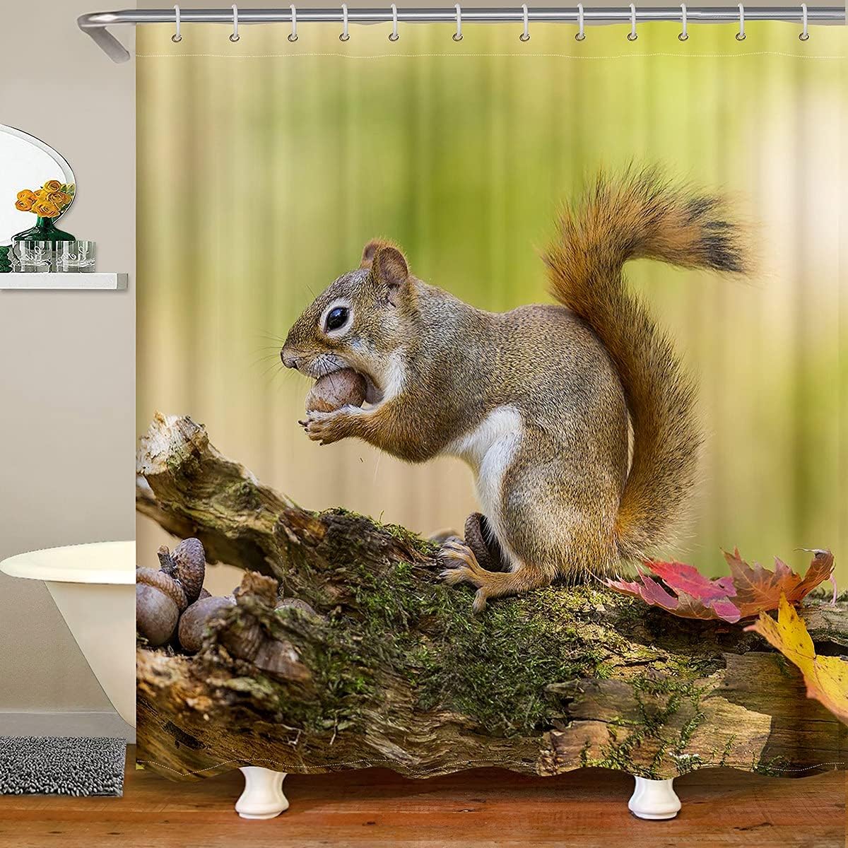 Erosebridal 3D Squirrel Shower Curtain 72x72 Kids Animal Decor